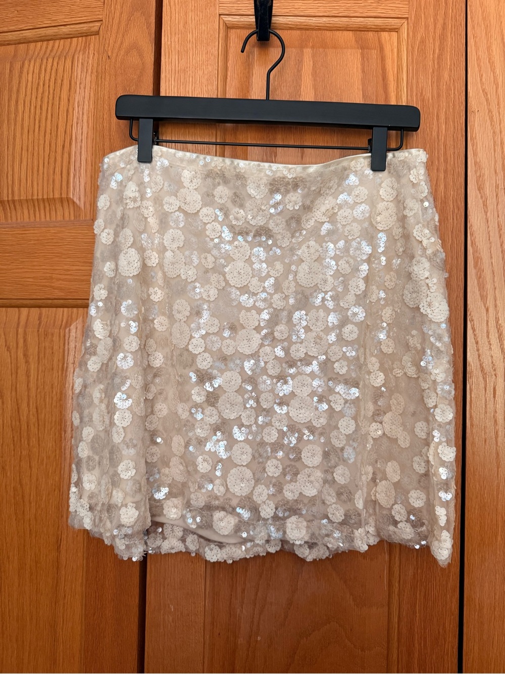 Francesca’s Sequin Mini Skirt